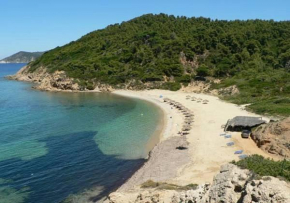 Iliada